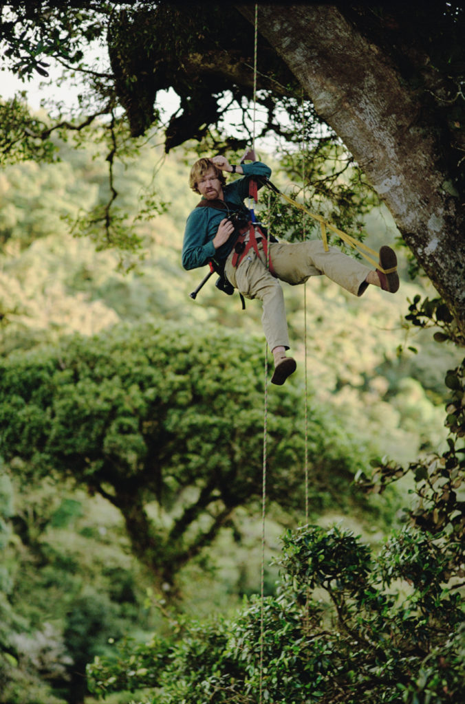 Canopy 0 me