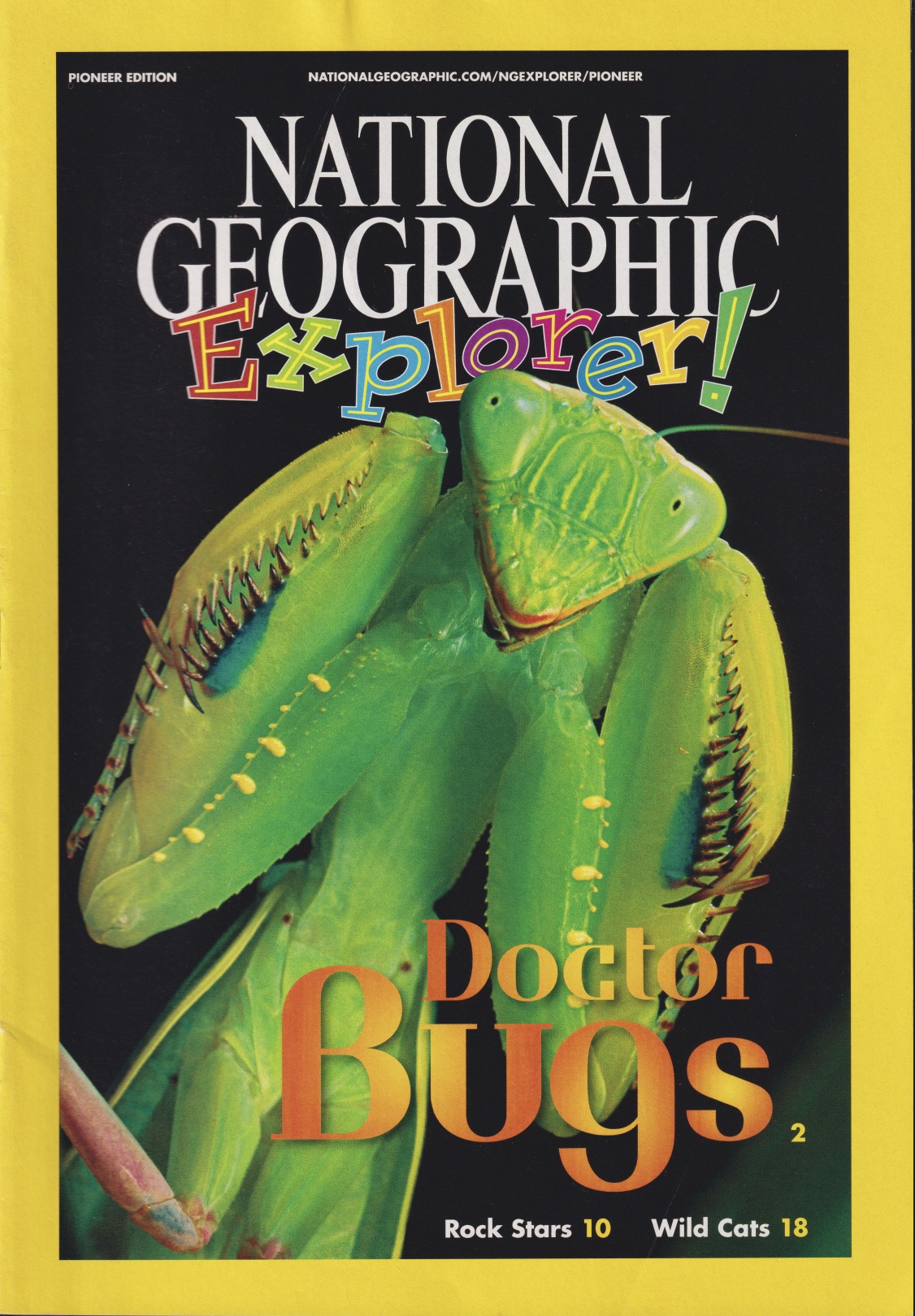 My pictures have often been favorites for children's magazines