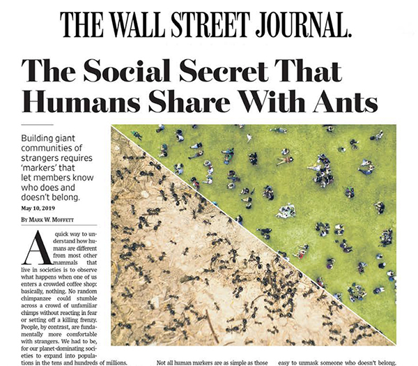 "The Social Secret that Humans Share with Ants" in the Wall Street Journal